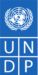 UNDP 인턴십