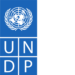 UNDPの仕事