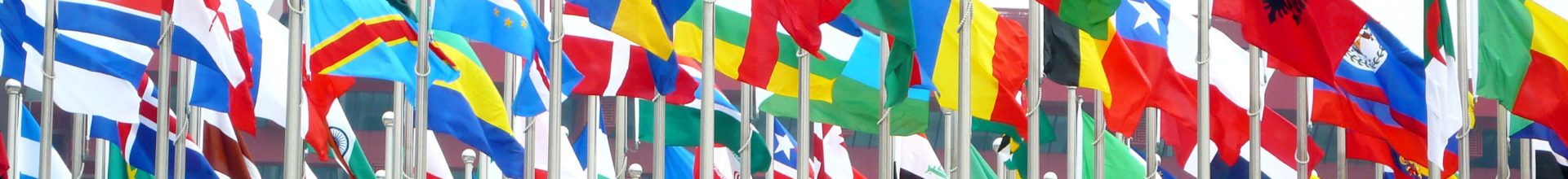 Discover all UN YPP 2021-2022 Participating Countries here!